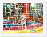 7th Birthday (17) * 2048 x 1536 * (1.5MB)